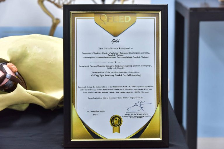 Diploma at IWA 2020