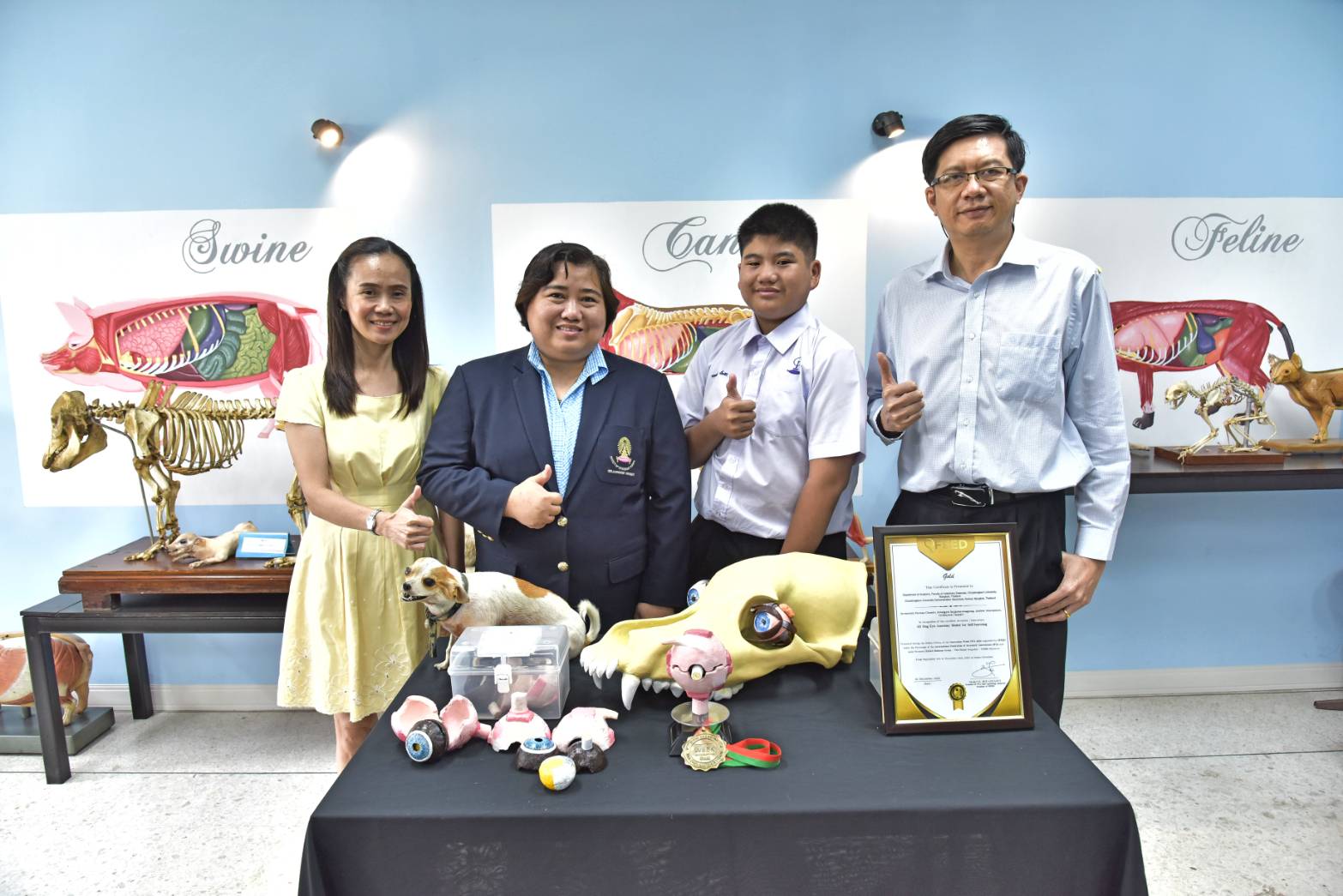 “3D Dog Eye Anatomy Model for Self Learning” Wins a Gold Medal at IWA ...