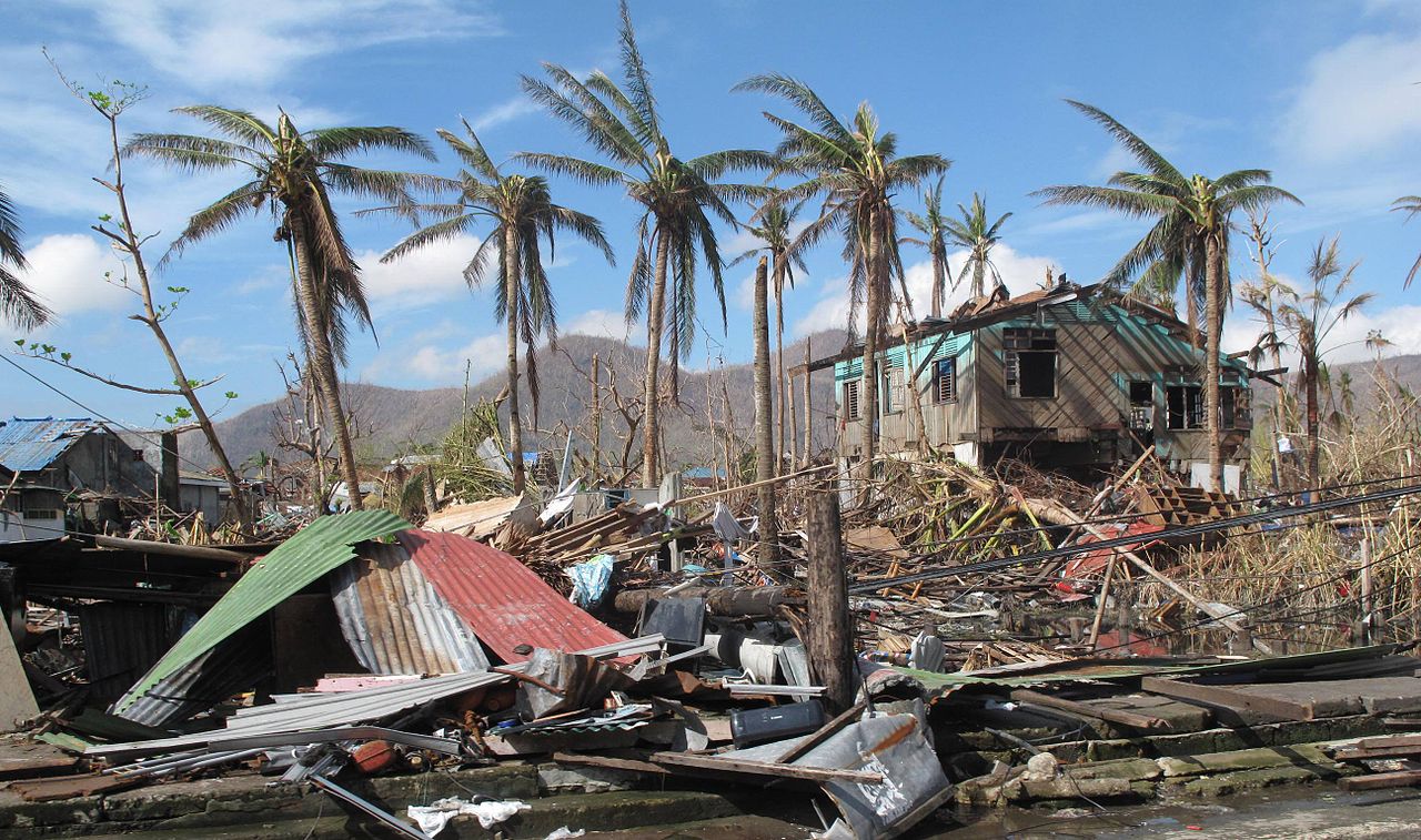 A few palm trees remain standing amid the destruction caused by a typhoon n the city of Tacloban, Philippines