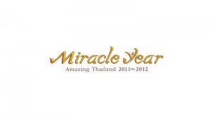 Miracle Year