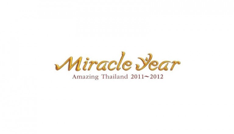 Miracle Year