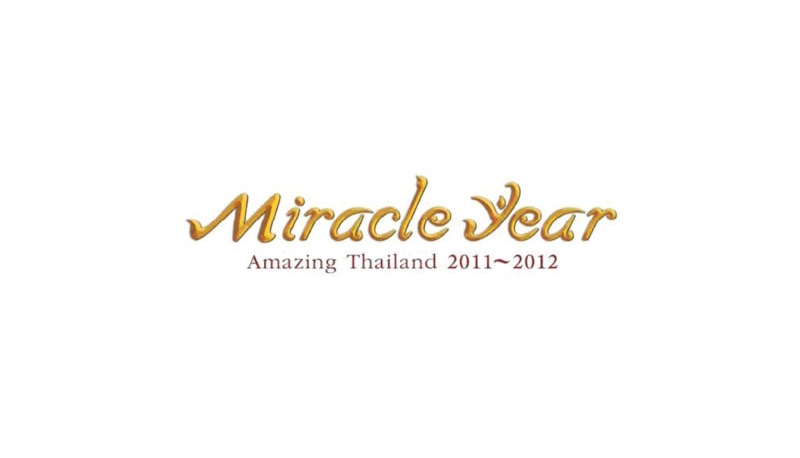 Miracle Year