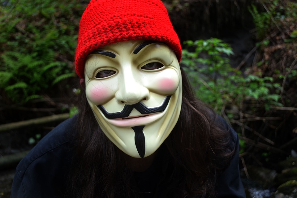 Guy Fawkes vendetta mask