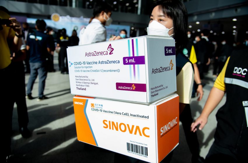 AstraZeneca and Sinovac COVID-19 vaccines, WHO Thailand