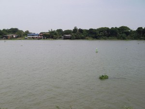 The Chao Phraya River in Bang Pa-in District, Phra Nakhon Si Ayutthaya Province