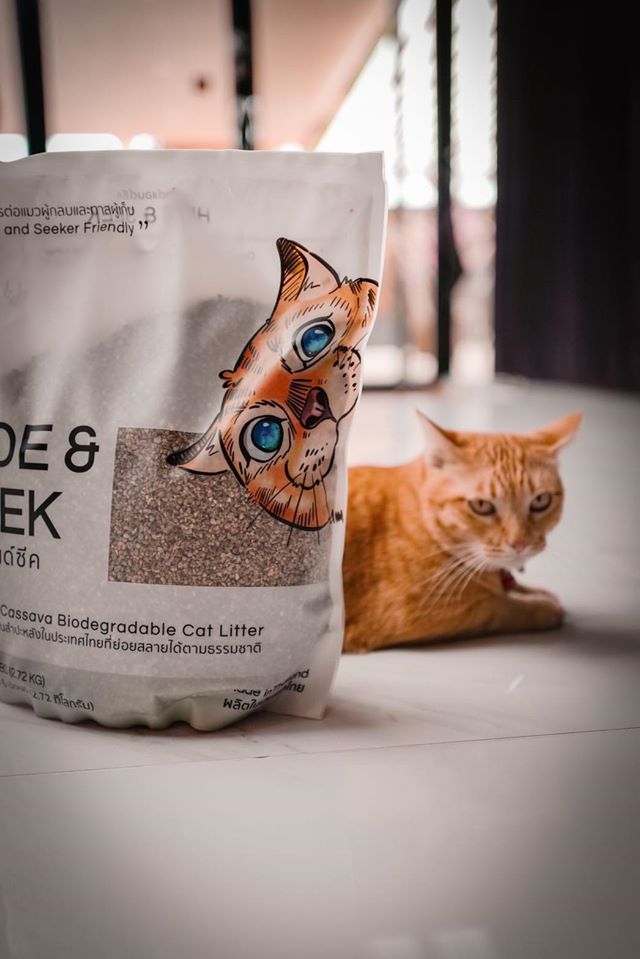 Hide&Seek, The success of cassava cat litter