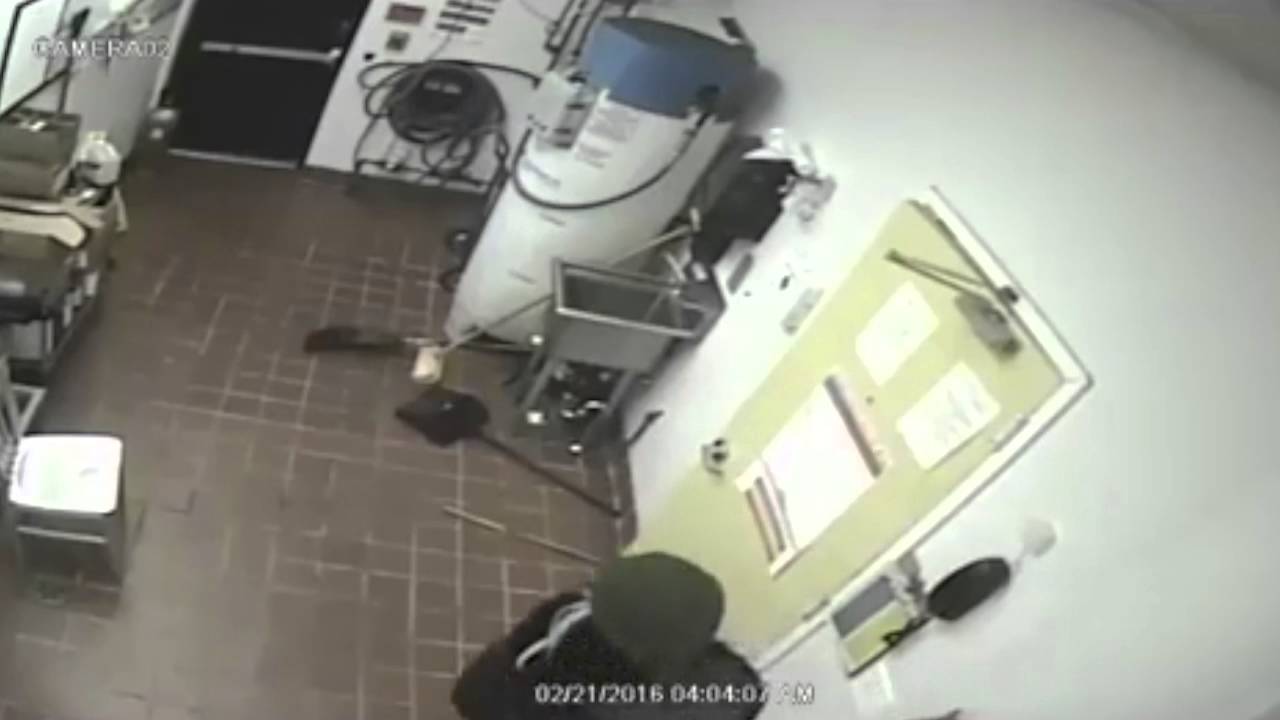 Robbery caught on CCTV