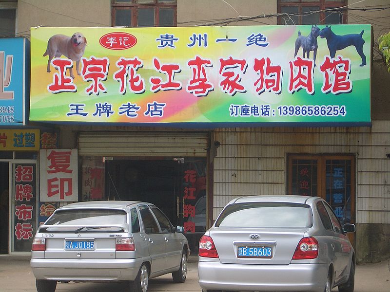 Dog meat restaurant in CHina