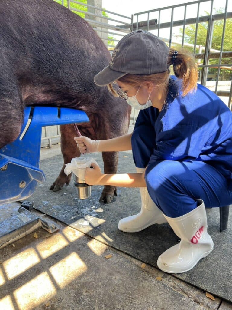 Chulalongkorn University Faculty of Veterinary Science.