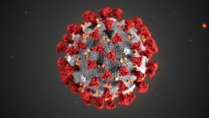 This illustration provided by the Centers for Disease Control and Prevention (CDC) in January 2020 shows the 2019 Novel Coronavirus