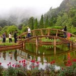 Between the King and Queen Pagodas of Doi Inthanon National Park