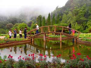 Between the King and Queen Pagodas of Doi Inthanon National Park