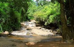 Mae Sa Waterfall in Doi Suthep National park