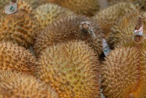 Durian fruits (Durio zibethinus)