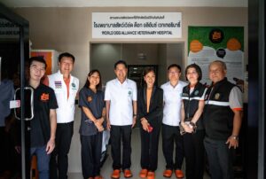 During the tour in Soi Dog hospital.