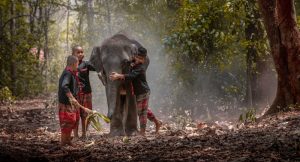 Thai children playing with an Elephant