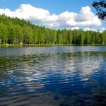 Forest and lake in Finland