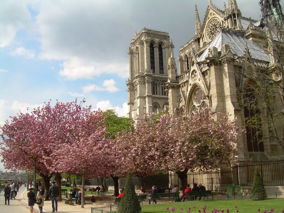 Notre Dame Cathedral in Paris