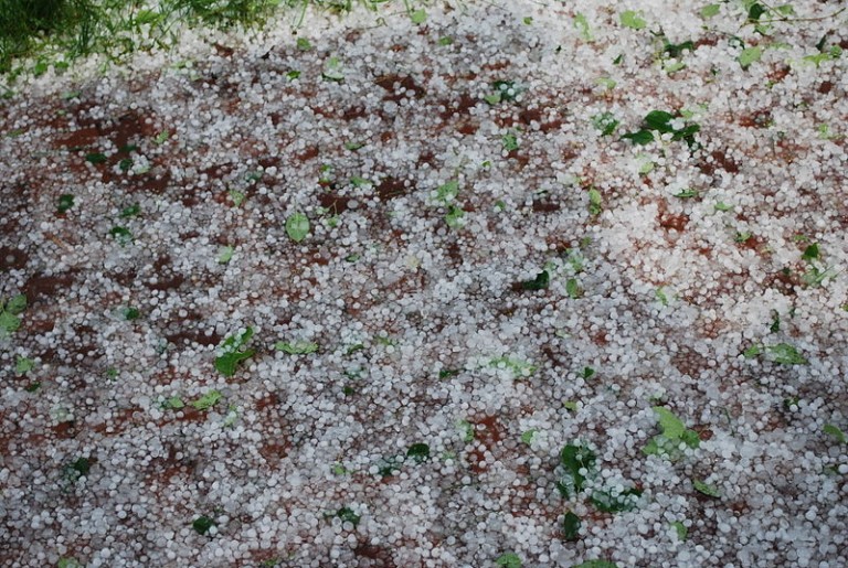The result of a hailstorm