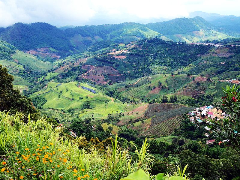 Hills in Ban Ho Mae Salong, Northern Thailand
