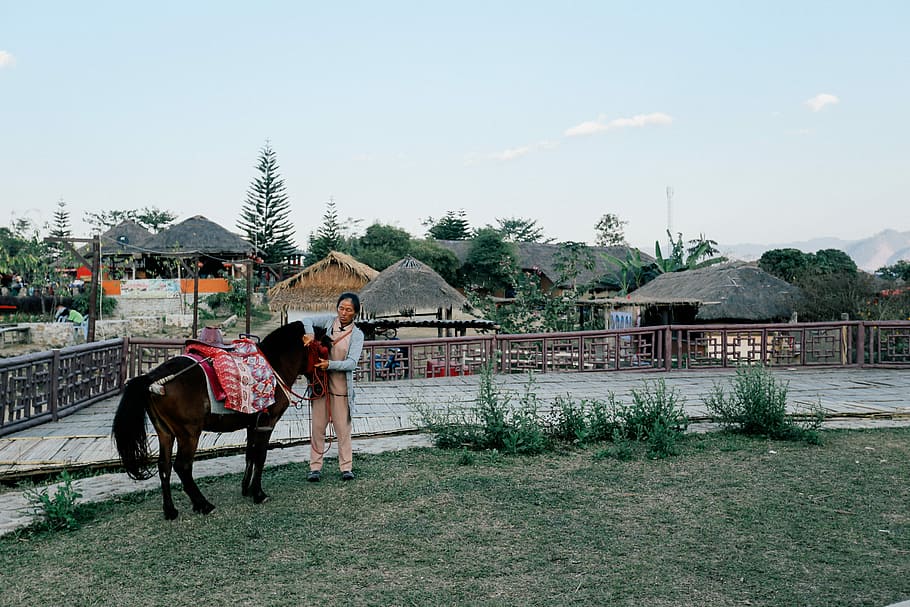Woman holding a black horse beside a fence in Thailand