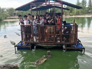 Chinese tourists feeding crocodiles at Illegal crocodile farm in Pattaya