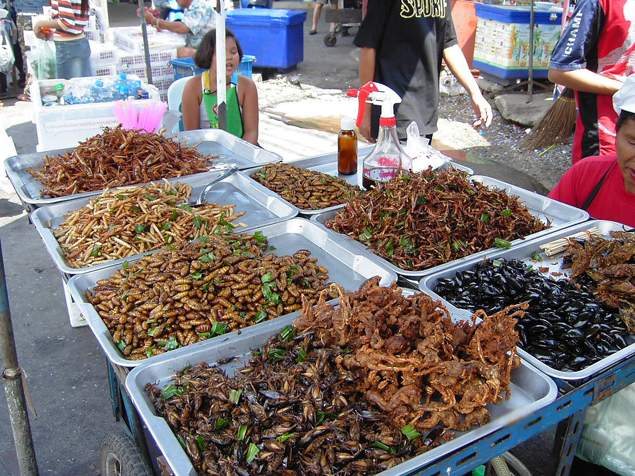 Street food: Insect food stall in Thailand
