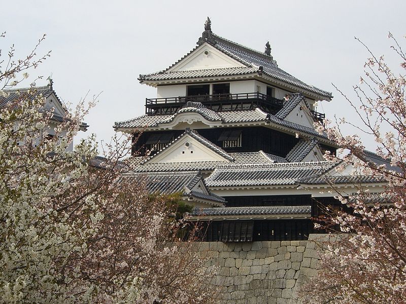 Matsuyama Castle in Japan