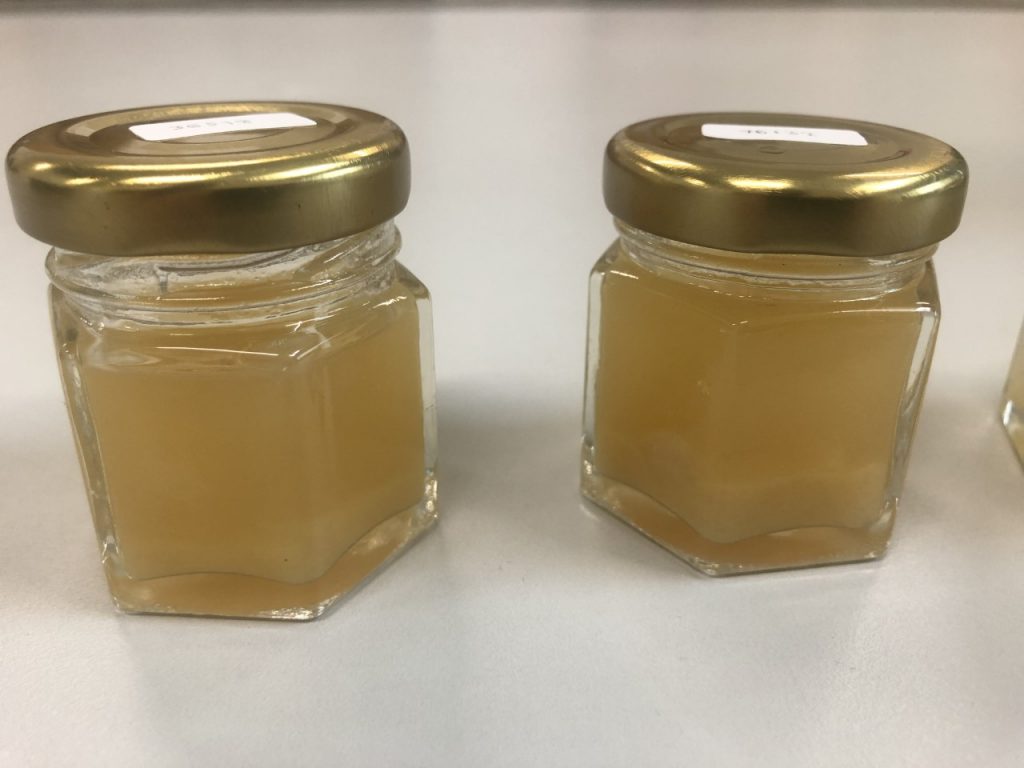 Jelly Nata Probiotics glass jars. Add Value to Pineapple with Good Microorganisms