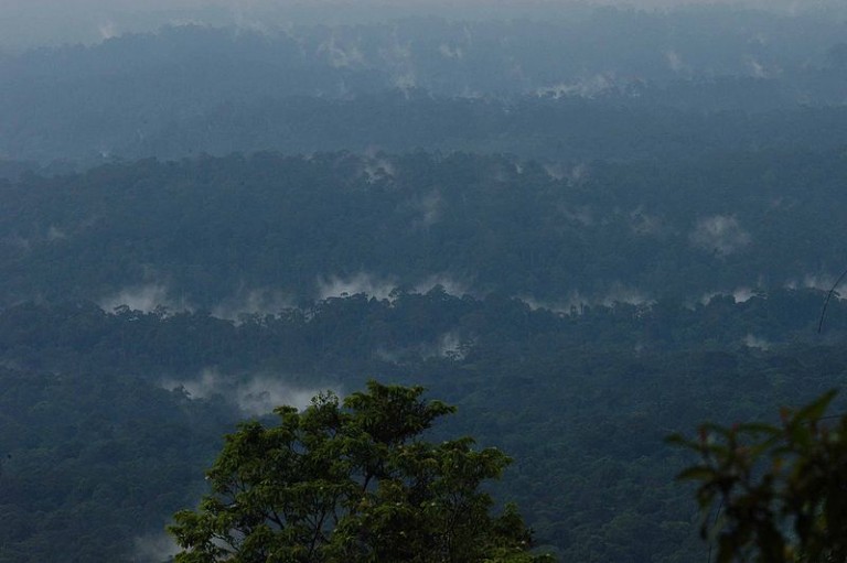 Khao Yai National Park