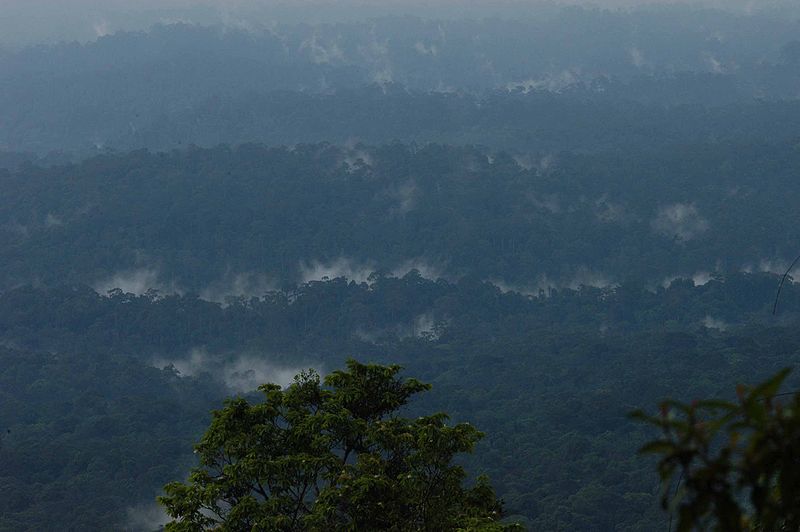 Khao Yai National Park