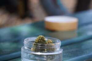 Marijuana buds inside a glass jar