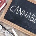 The word Cannabis written on a chalkboard
