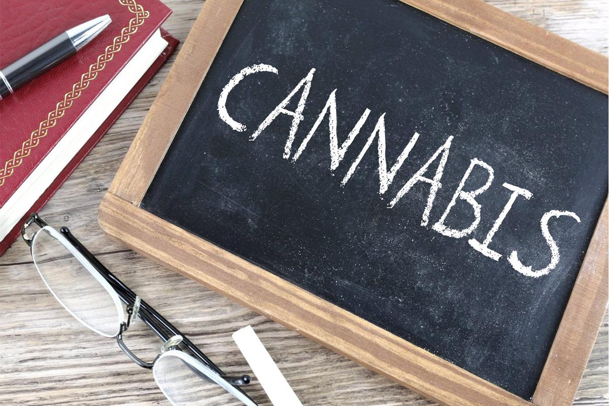 The word Cannabis written on a chalkboard