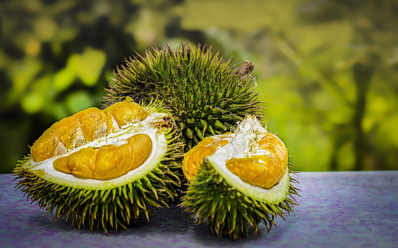 Thai Durian fruit opened showing the pulp.