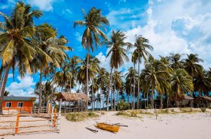 Philippine island beach with palm trees