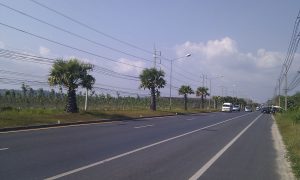 Phuket road