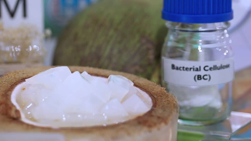 Chemically processed bacterial cellulose from coconut jelly.