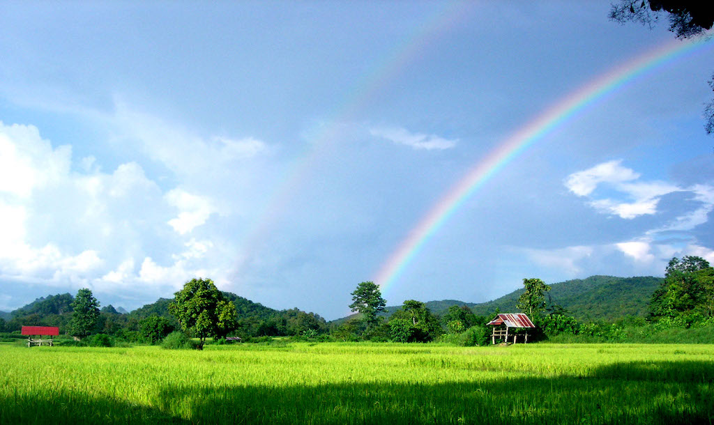 Rainbow from a rice field in Phrae Province