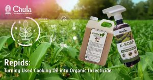 Repids: Turning Used Cooking Oil into Organic Insecticide - A Community Innovation from Chulalongkorn University.