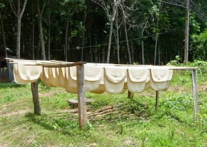 Drying rubber in Thailand