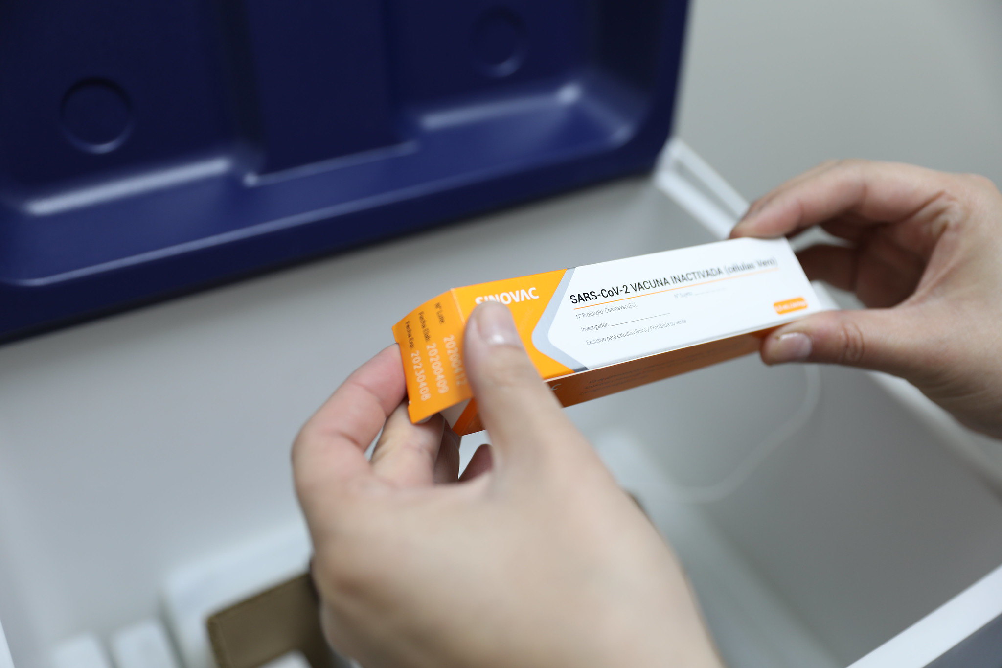 COVID-19 Sinovac vaccine, developed by UC and the Chinese laboratory Sinovac Biotech Ltd