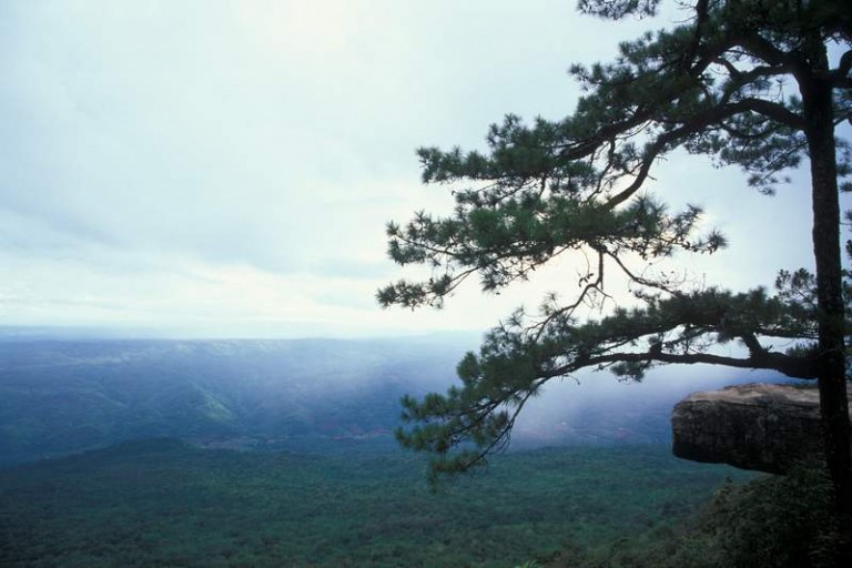 Cliffs of Phu Kradung mountain in Thailand