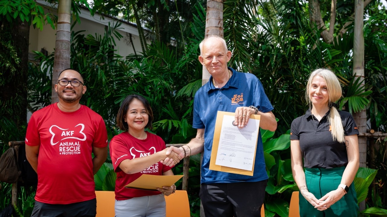 Soi Dog Foundation's relaunched campaign to stop the dog meat trade in Asia