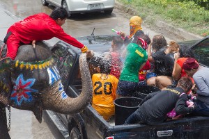 Elephants splashing water during the Songkran in Ayutthaya