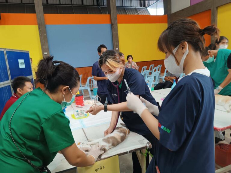 Students at Chulalongkorn University Faculty of Veterinary Science.