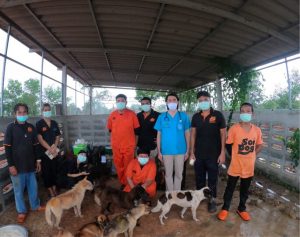 Surat Thani Livestock and Soi Dog vets perform dogs health check