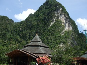 A resort in Khao Sok, Surat Thani Province