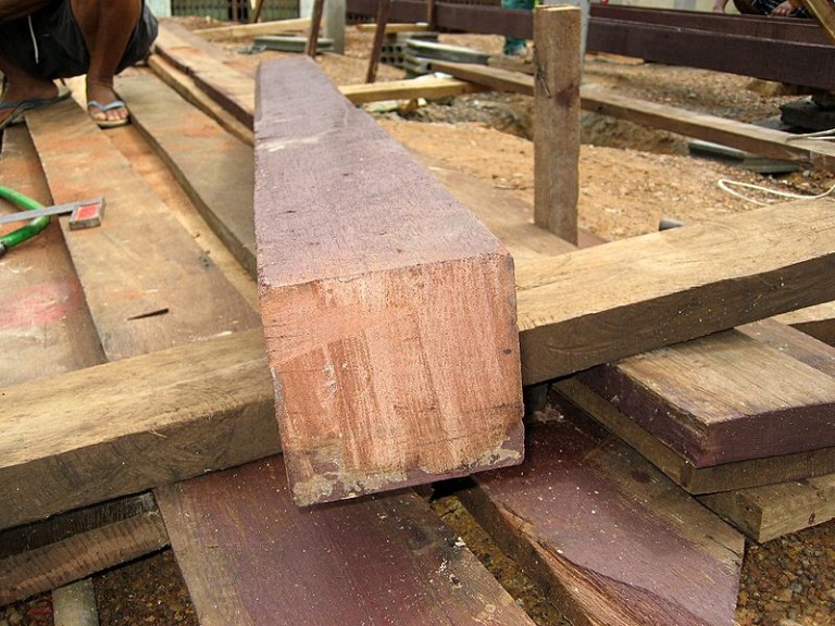 A freshly cut beam of wood