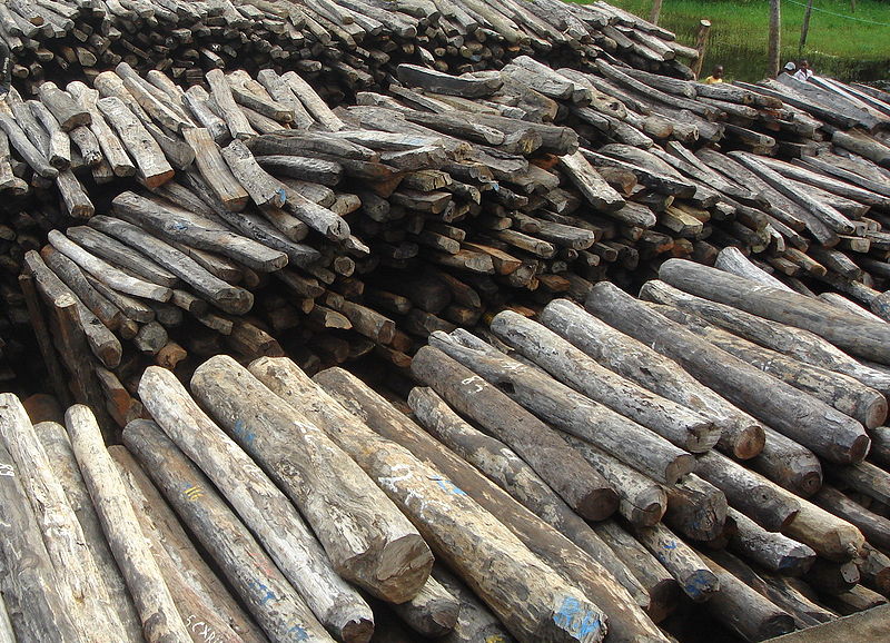Illegal rosewood stockpiles